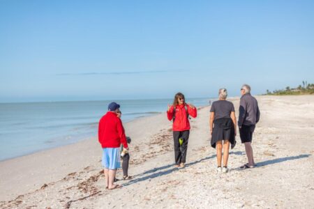 article image - SSS RESORT GUIDED BEACH WALKS